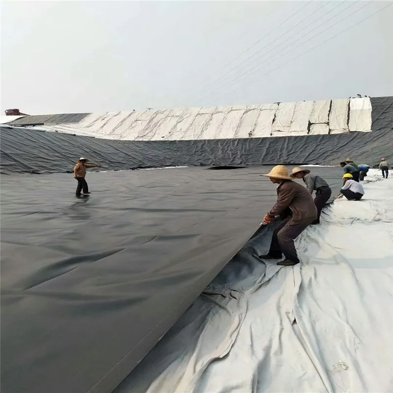 EBA geomembrane