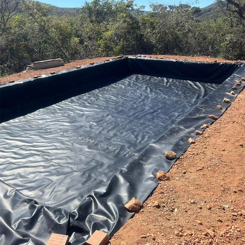 EBA geomembrane