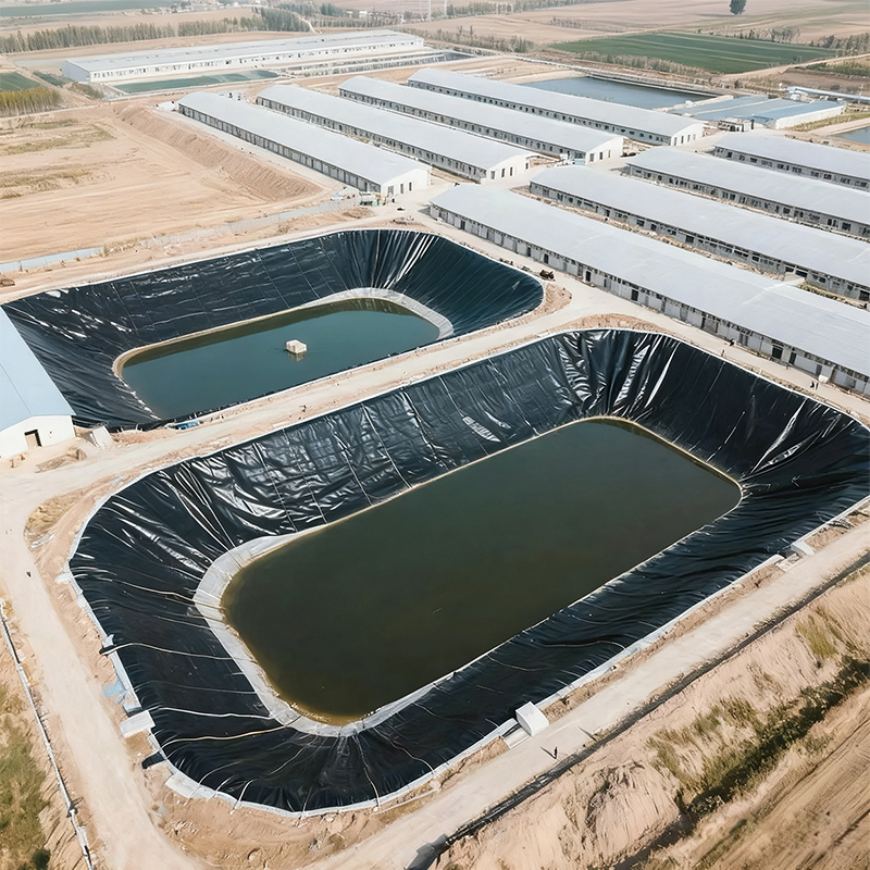 TPO geomembrane waterproof membrane