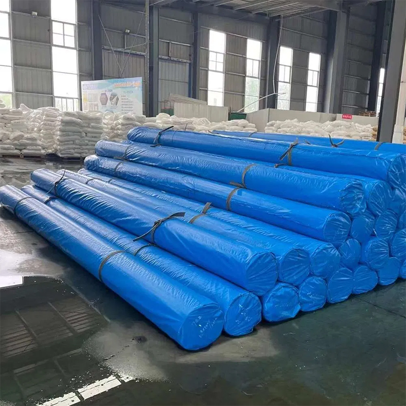 Multilayer Geosynthetic Barrier System