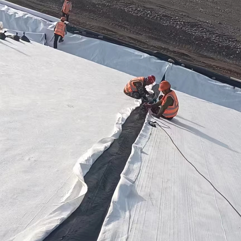 Multilayer Geosynthetic Barrier System