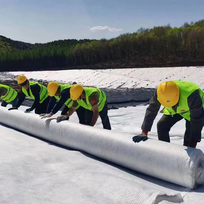 Geocomposite Drainage Layer