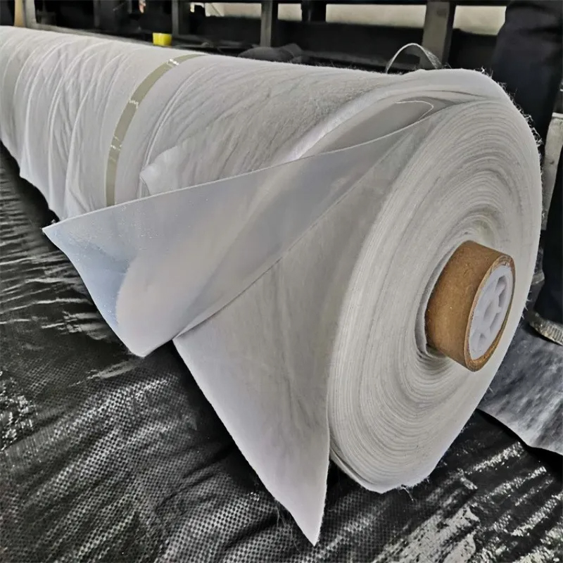 Geocomposite Drainage Layer