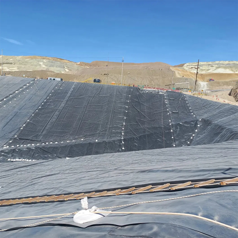LDPE geomembrane soft and waterproof membrane