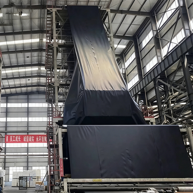 LDPE geomembrane soft and waterproof membrane