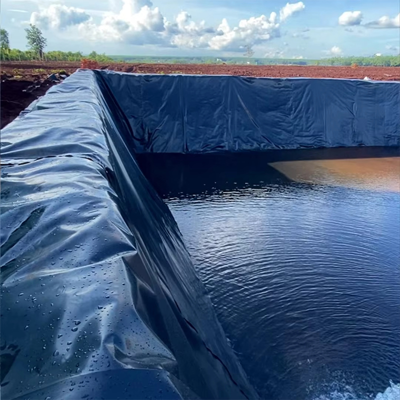 LDPE geomembrane soft and waterproof membrane