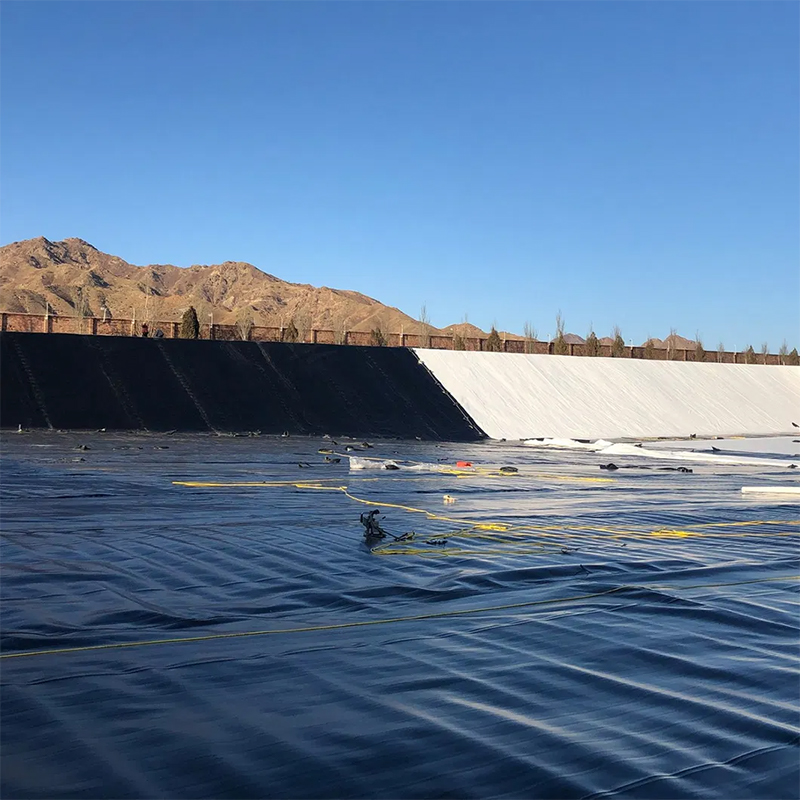 Dam Lining Geomembrane for Hydraulic Engineering