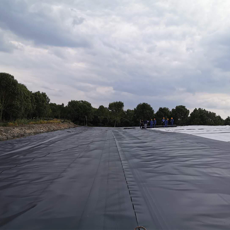 HDPE Textured Anti-slip Geomembrane