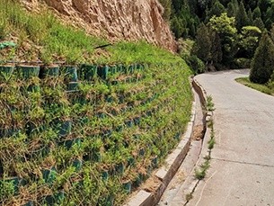 Slope protection and soil stabilization