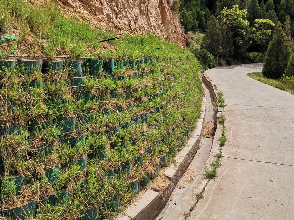 Geocells enhance the load-bearing capacity and durability of the site