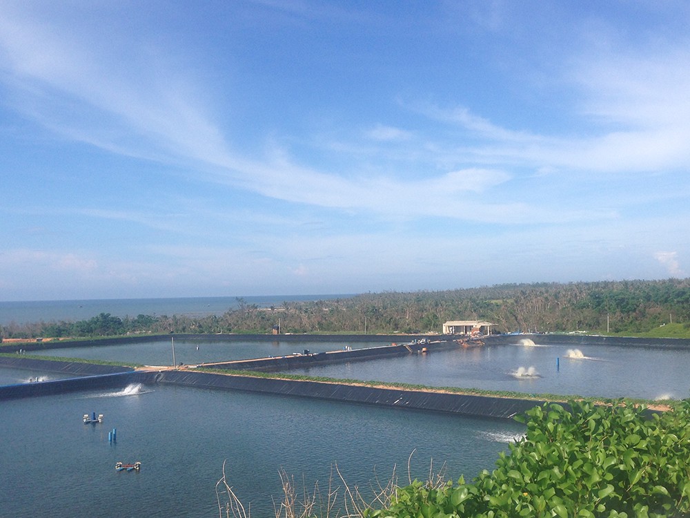 How can LDPE geomembrane improve the efficiency and profitability of aquaculture?