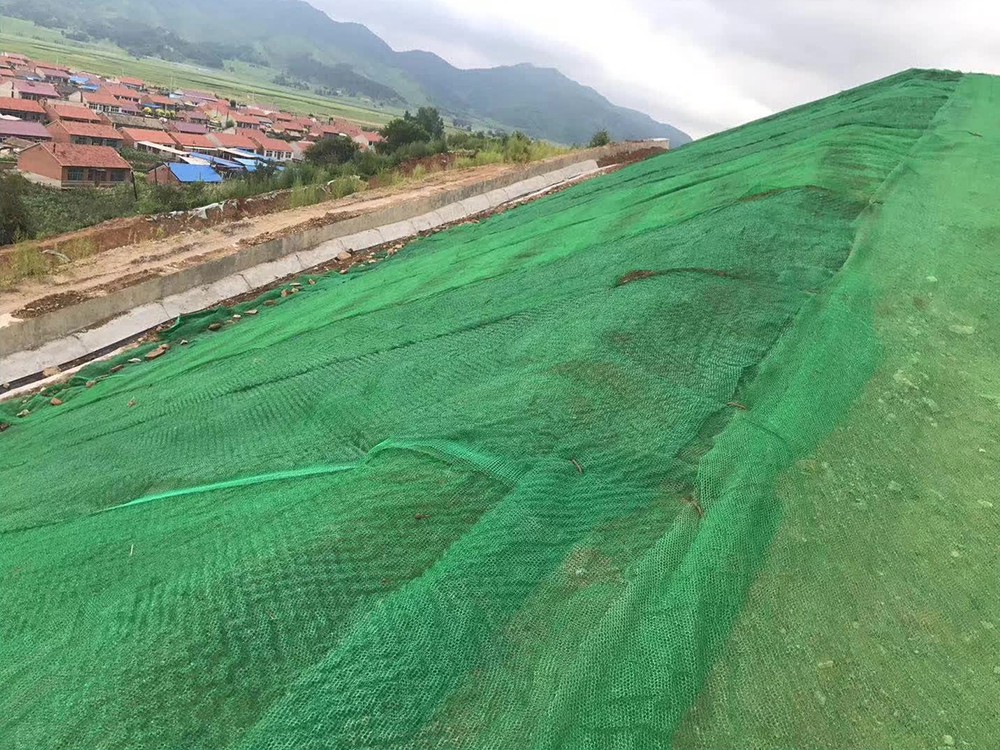 Geonets enhance slope protection while balancing ecological conservation and structural stability.
