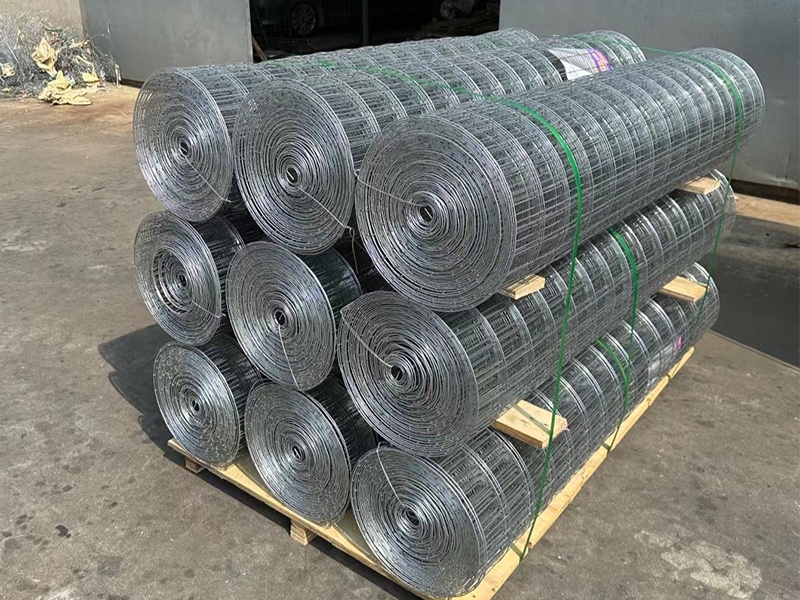 Galvanized wire mesh
