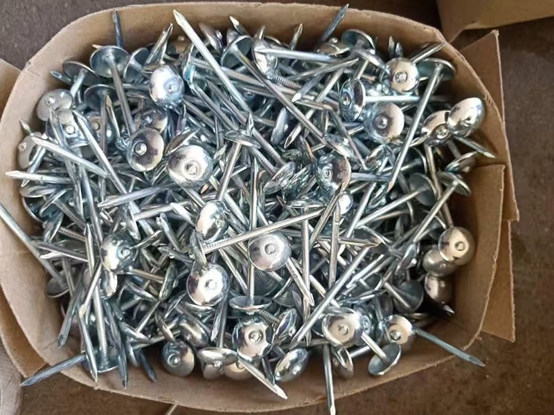 galvanized corrugated nail