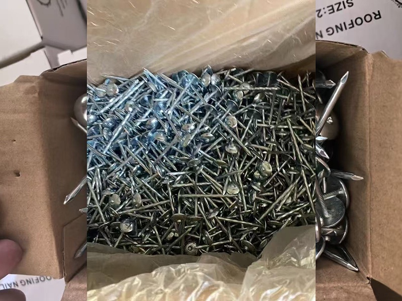 galvanized corrugated nail
