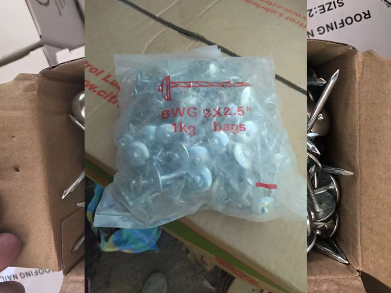 galvanized corrugated nail