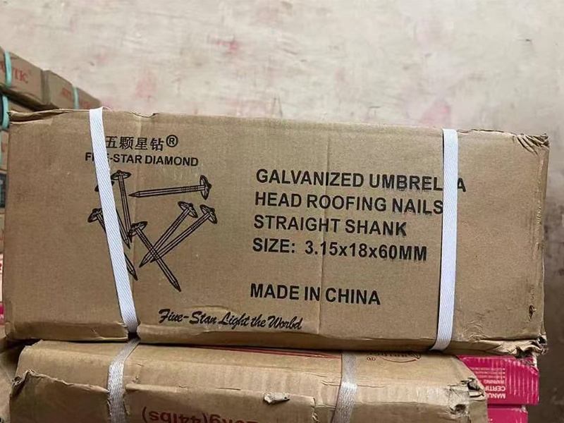 galvanized corrugated nail