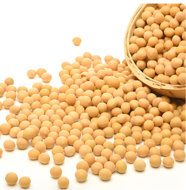 Non-GMO Soybeans Suppliers
