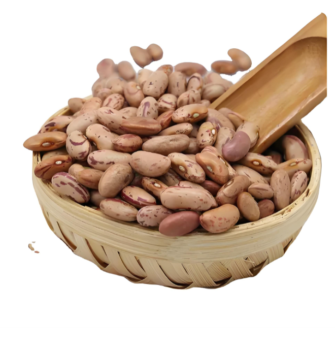 Kidney Beans Suppliers
