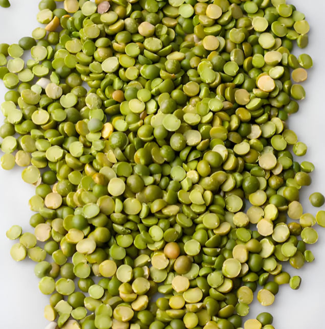 Green & Yellow Lentils Suppliers