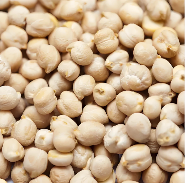Raw Chickpeas Suppliers