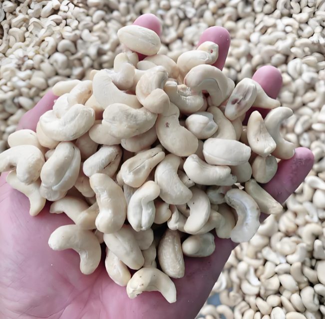 Cashews Nut Suppliers