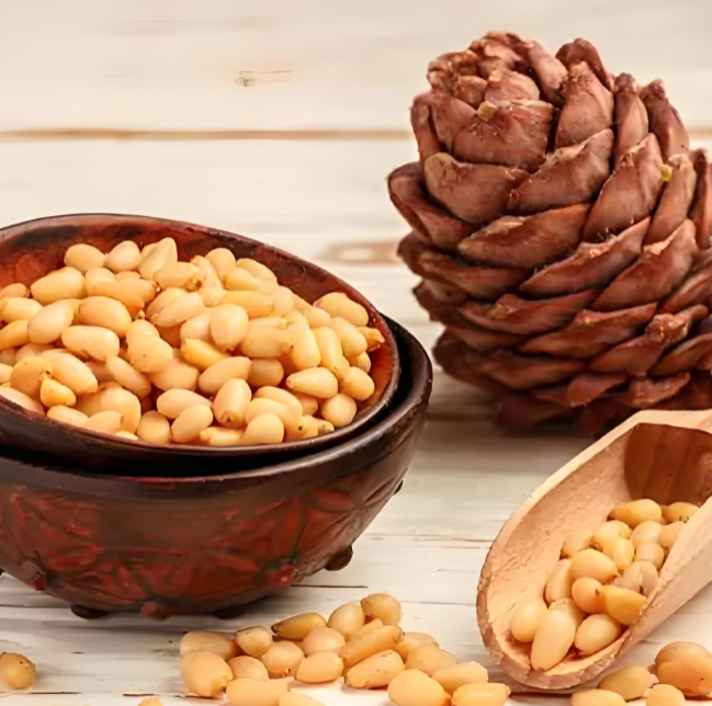 Pine Nut Suppliers