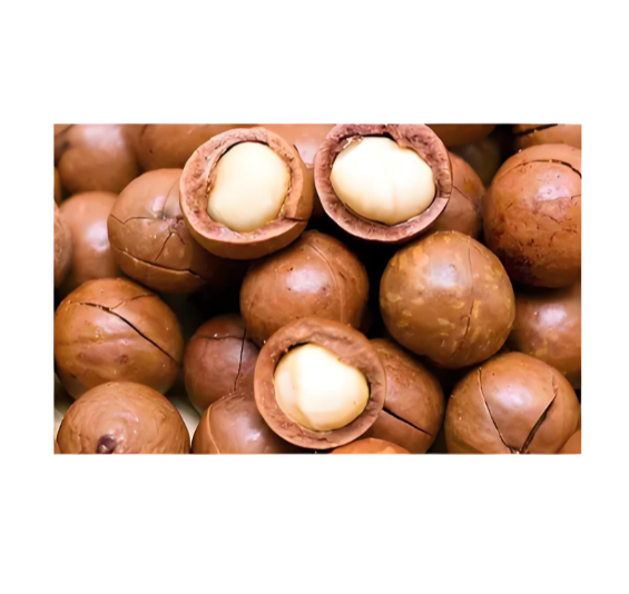 Macadamia Nuts Suppliers