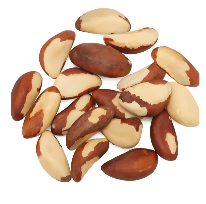 Brazil Nut Suppliers