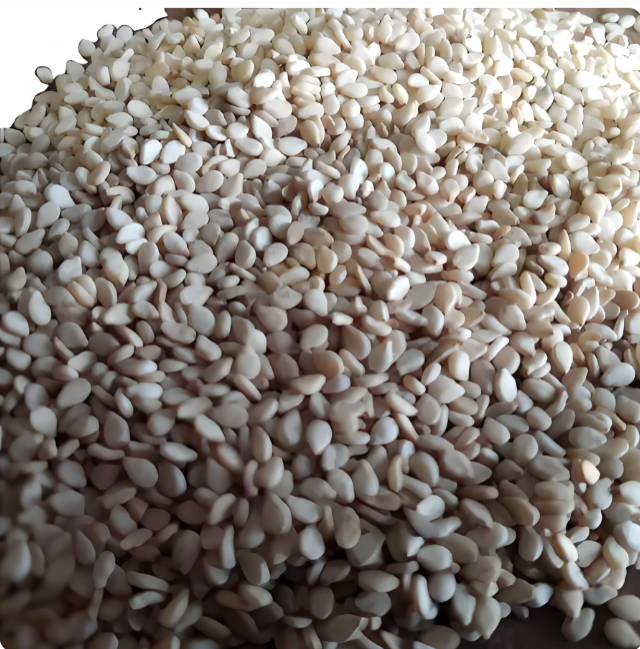 Sesame Seeds Suppliers