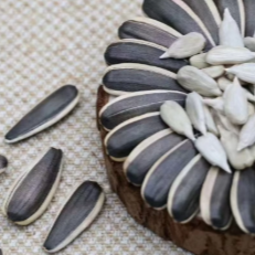 How Malaysia’s Agricultural Heritage Shapes JIMI Industries’ Products