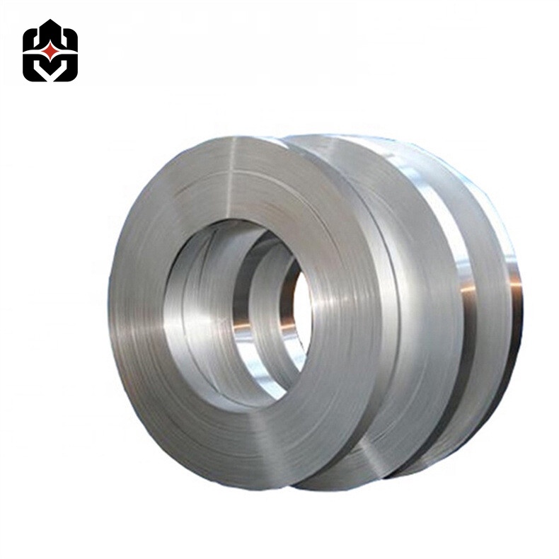 310 Stainless Strip