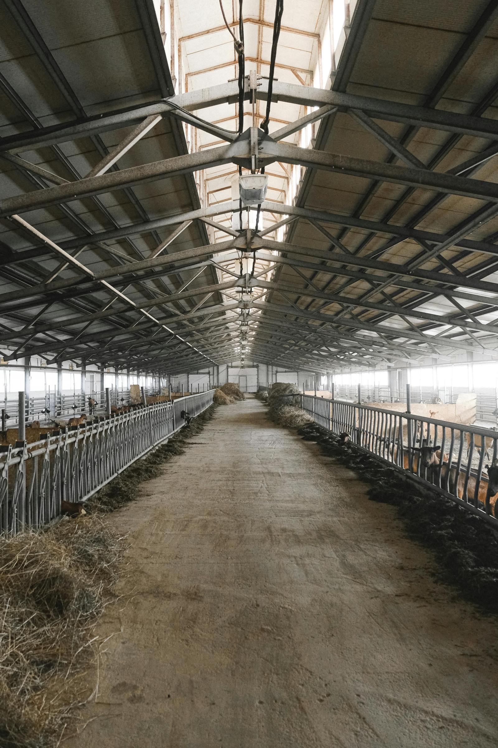 pexels-shvetsa-5953664