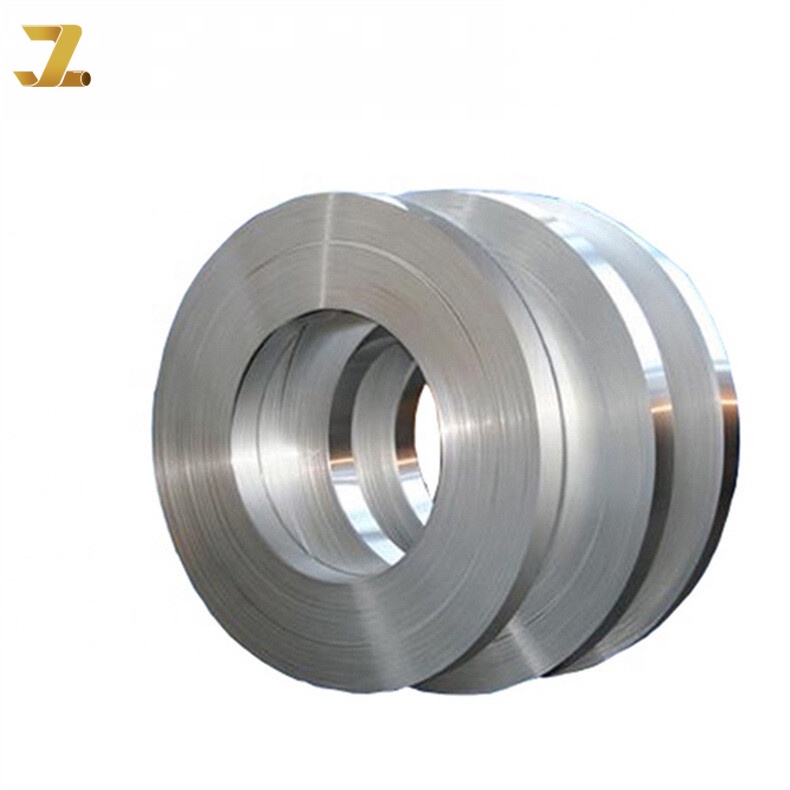 310 Stainless Strip