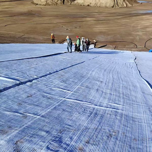 微信图片_20260317145215_348_543