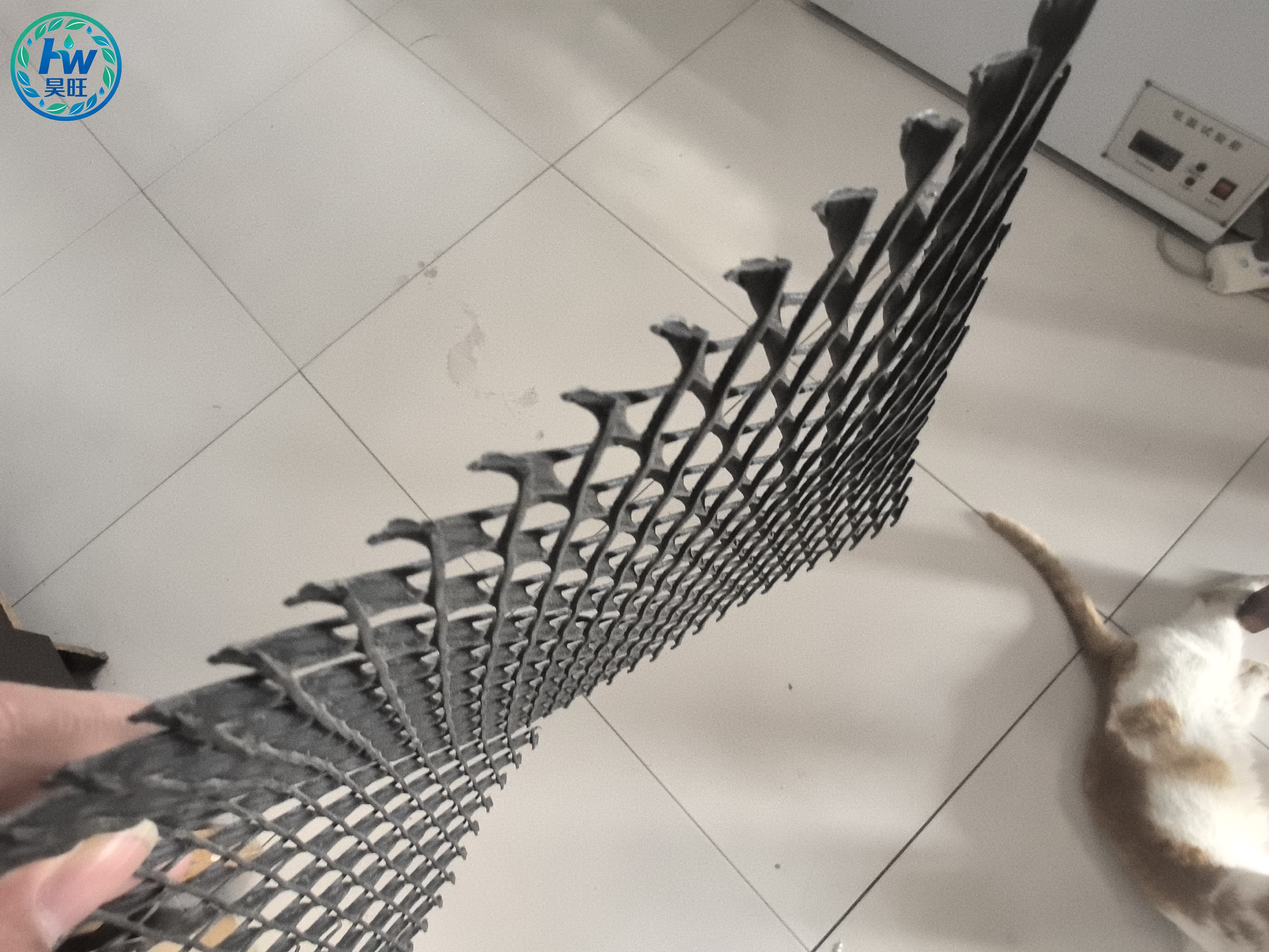 Three-Rib Drainage Network