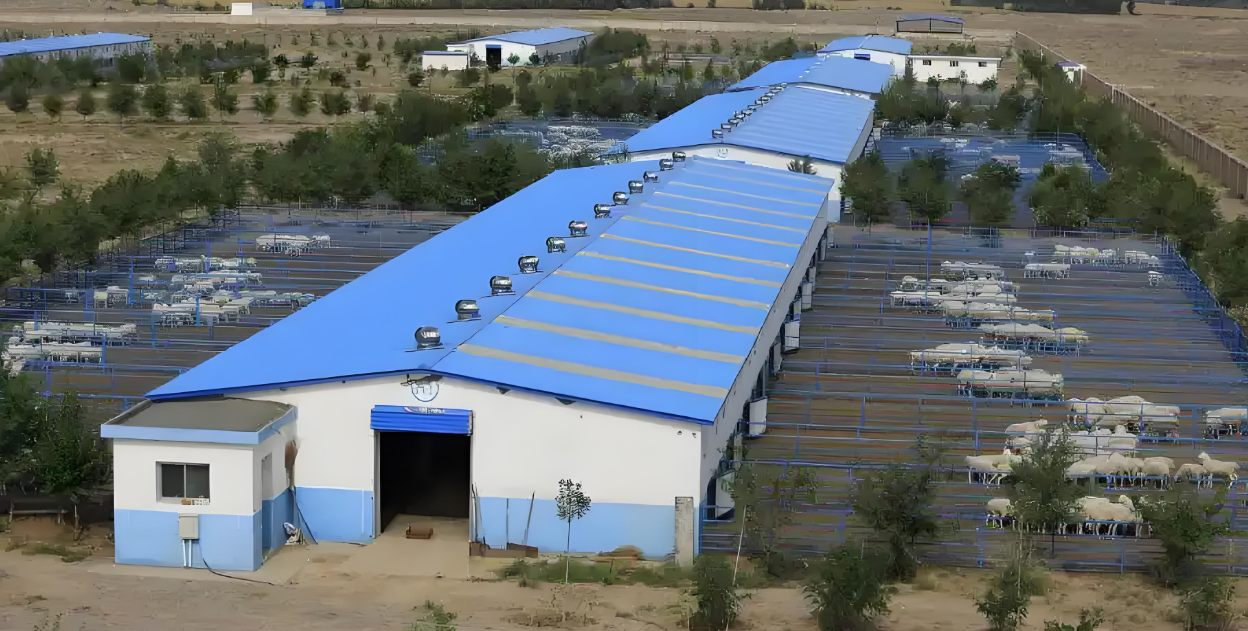 Prefab Steel Livestock Barns for Cattle, Sheep & Pigs-Strong, Ventilated & Easy to Assemble1