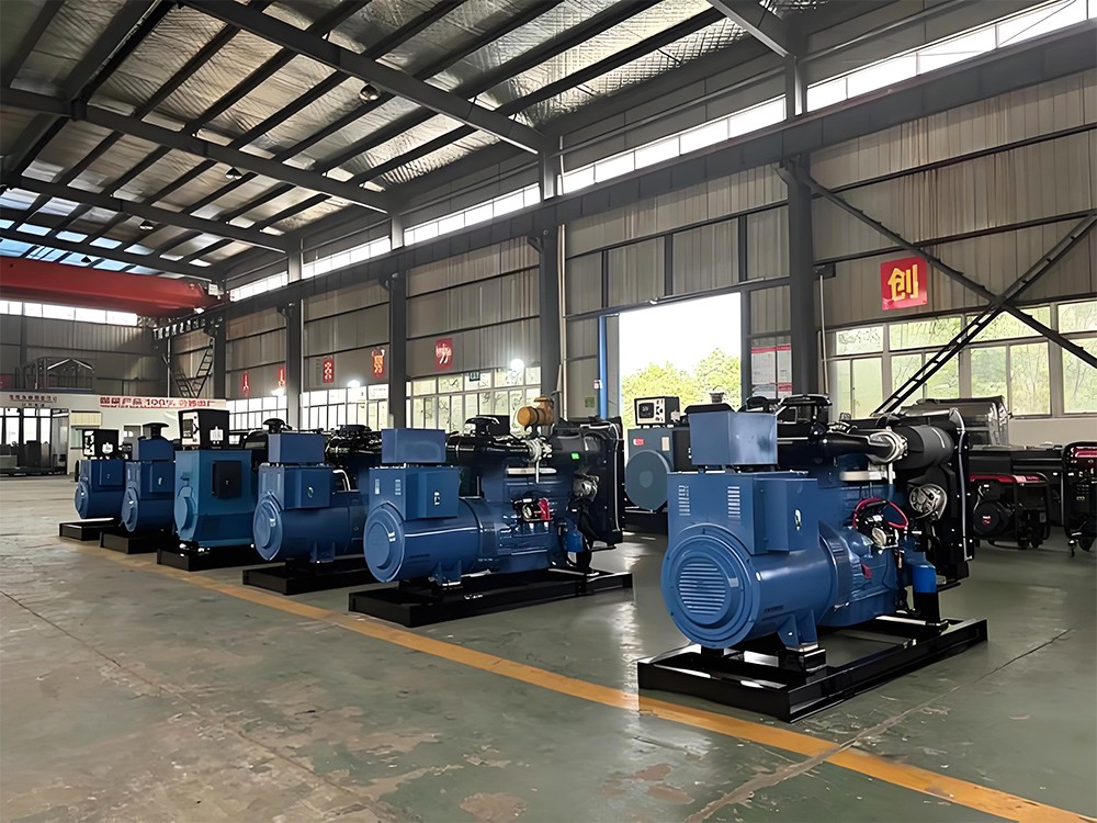 Friendly Reminder: When making a purchase, be sure to take your actual needs into account, as diesel generators vary depending on their intended application.