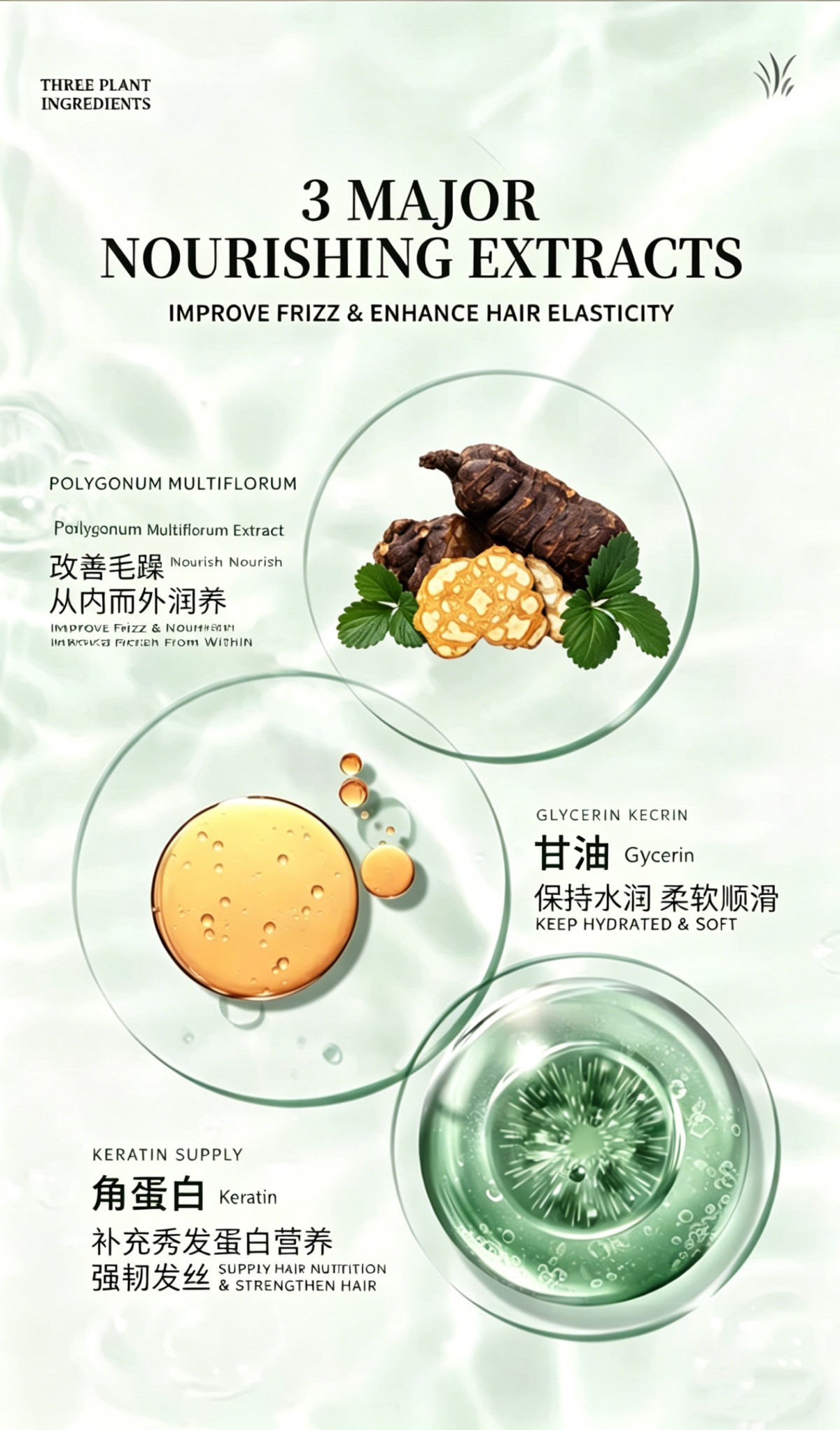 宠物口腔护理喷雾英文表格翻译 (4)