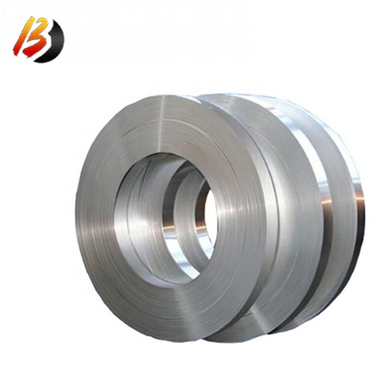 310 Stainless Strip