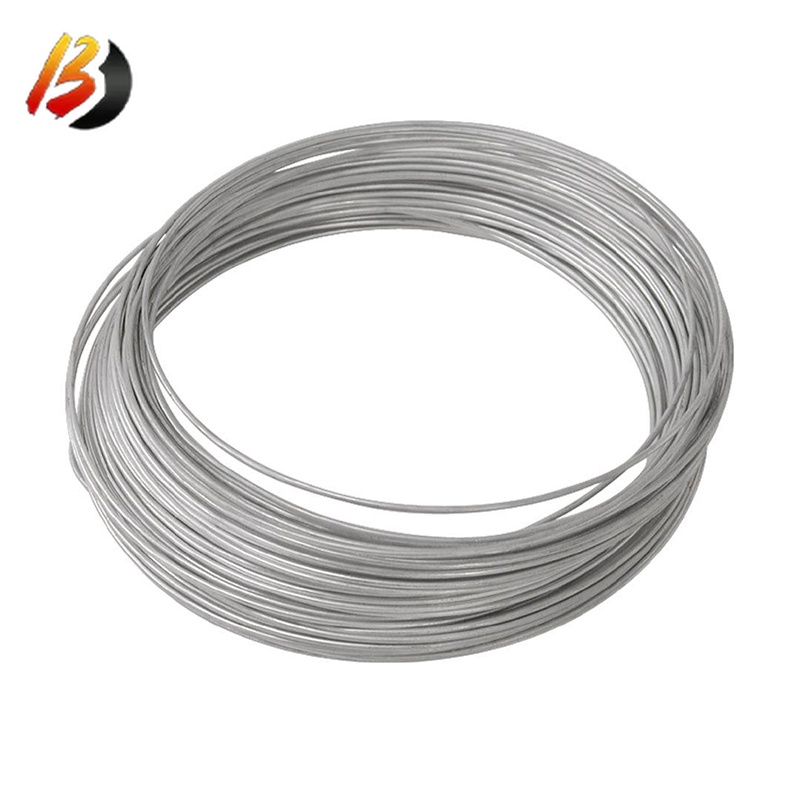 316 Stainless Steel Wire