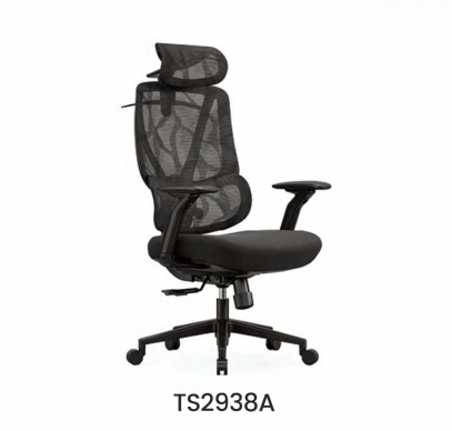 TS2938