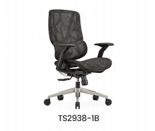 TS2938