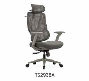 TS2938