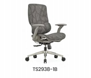 TS2938