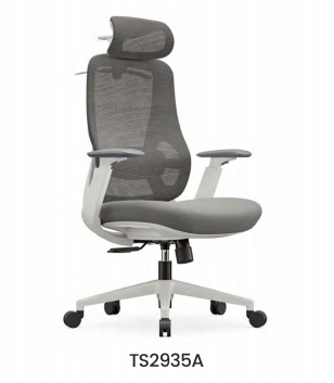 TS2935
