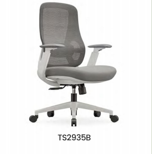 TS2935