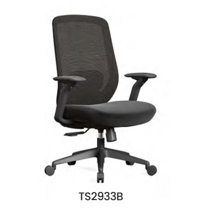 TS2933