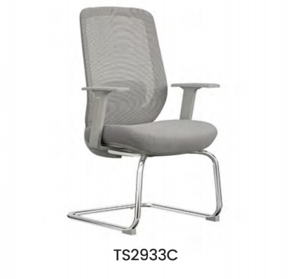 TS2933