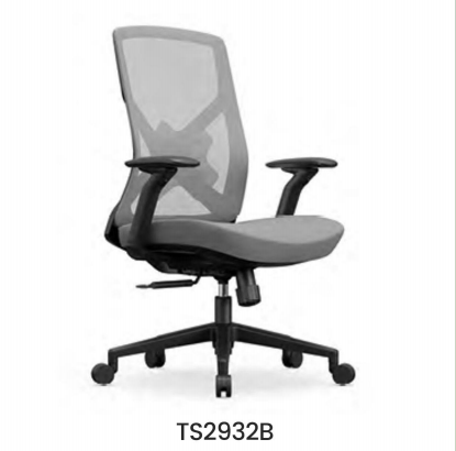 TS2932